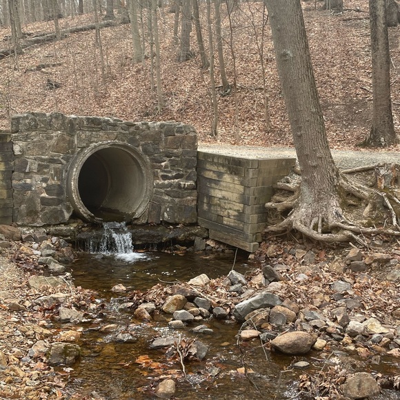 HELLO HELENA - Picture 10 of 15